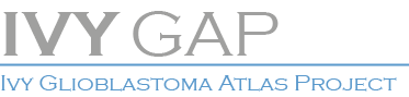 Glioblastoma Atlas Project logo